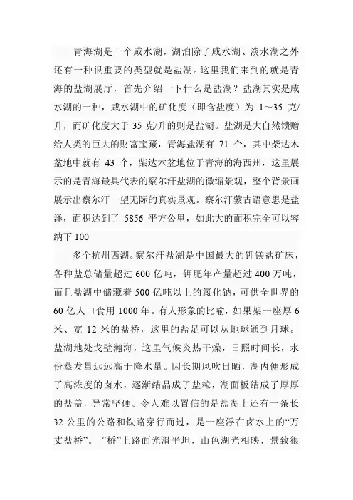 青海湖是一个咸水湖