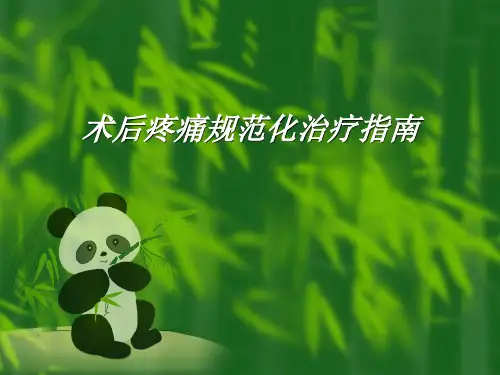 术后疼痛规范化治疗指南