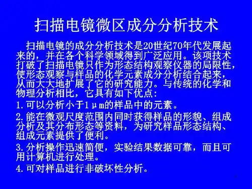 扫描电镜微区成分分析技术