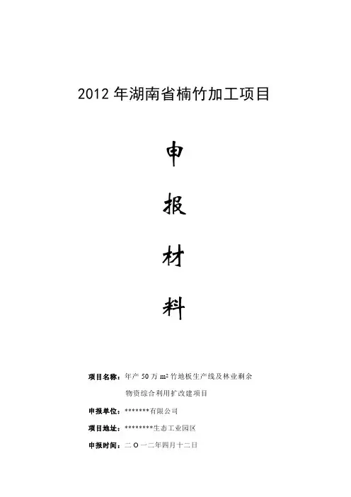 楠竹加工项目申报材料(上传)
