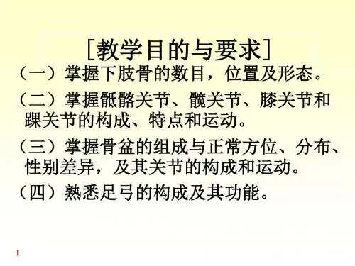 chapter02关节学资料