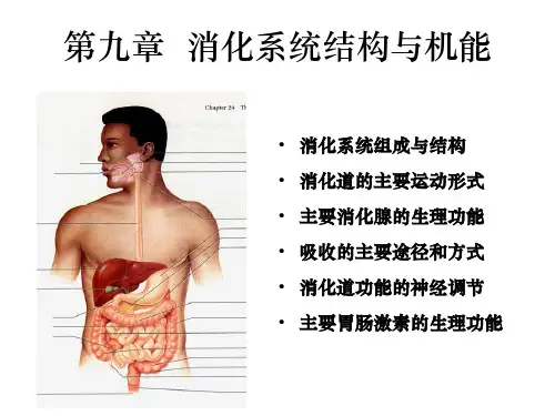 消化系统结构及机能