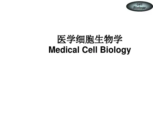 第七章 细胞骨架与细胞运动 1