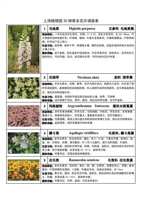 上海植物园实习30种草本花卉