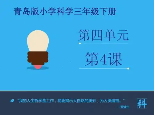 《多样的动物》课件