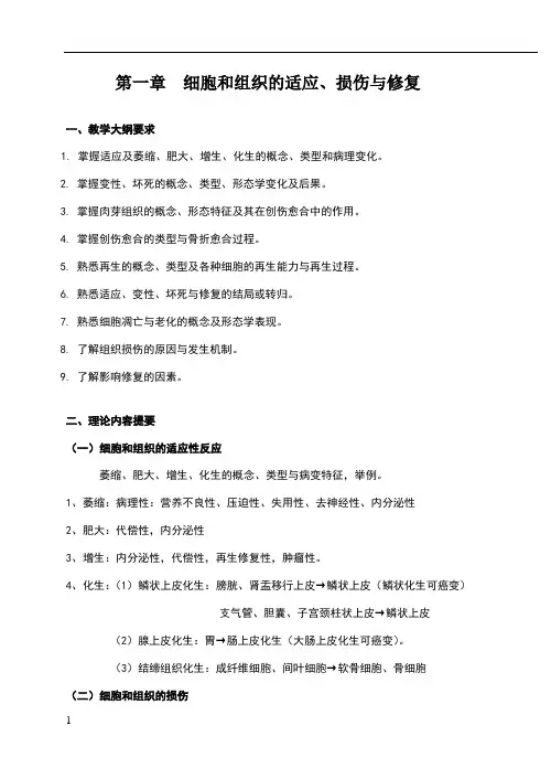 细胞组织的适应与损伤