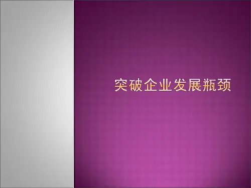 突破企业发展瓶颈《目标》.pptx
