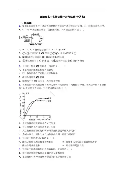 襄阳市高中生物必修一月考试卷(含答案)