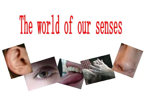Senses