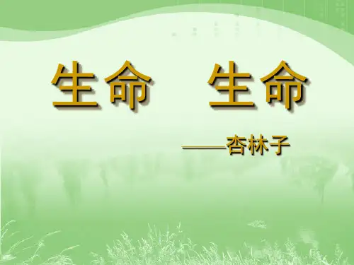 生命生命(课件