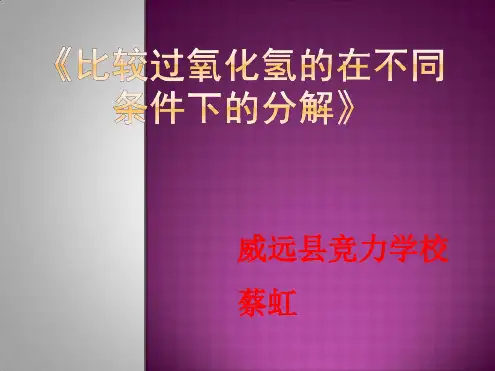 高中生物实验说课PPT