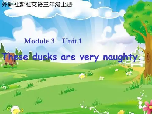 【精编】外研版(一起)三年级英语上册Module 3 Unit 1 These ducks are very naughty. (3)