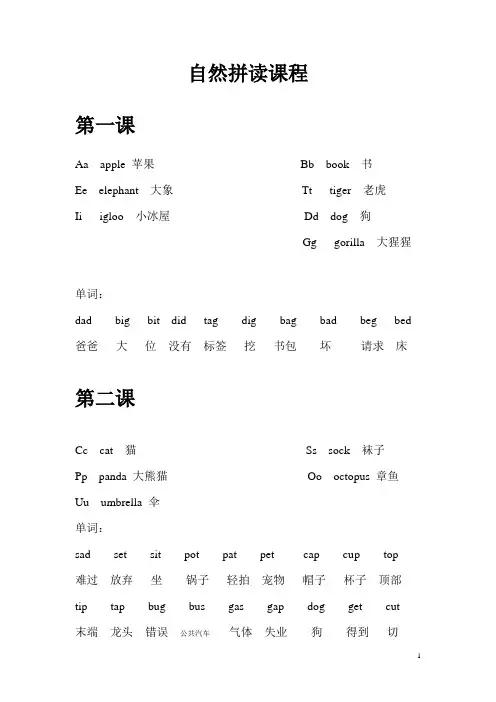 自然拼读笔记