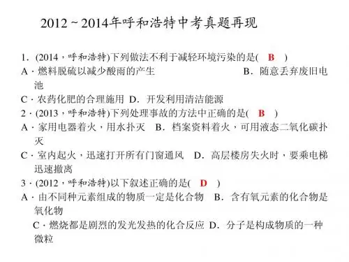 2016中考化学(人教版,呼和浩特)总复习课件：第13讲 燃料及其利用