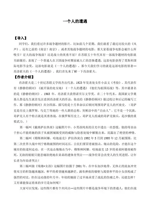 一个人的遭遇(节选)教案教学设计     
