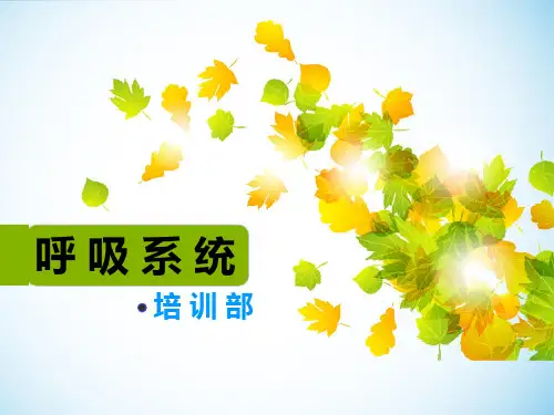 呼吸系统生理解剖