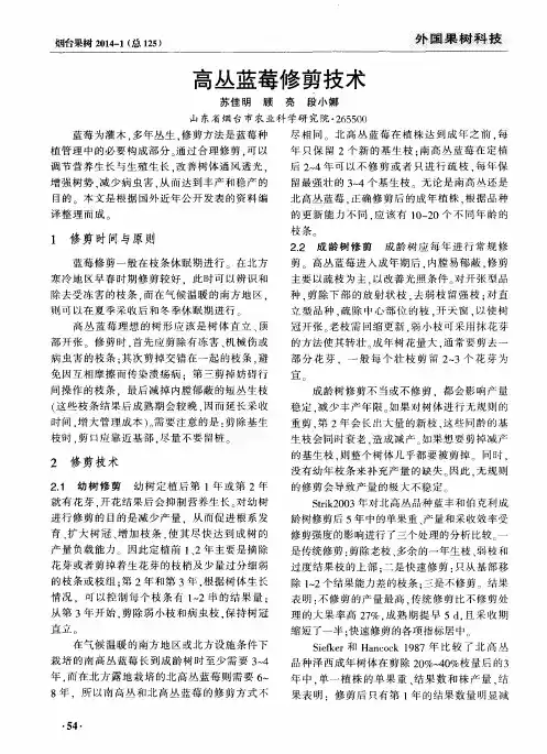 高丛蓝莓修剪技术