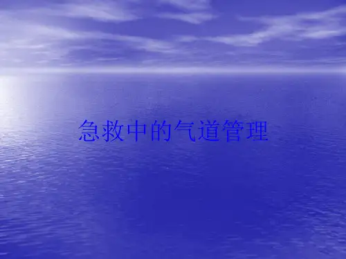 急救中的气道管理培训课件