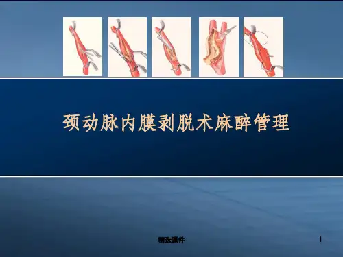 颈动脉内膜剥脱术麻醉管理-伤脑的高灌注