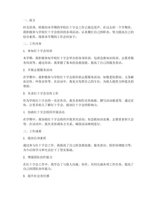 学校红会个人工作总结