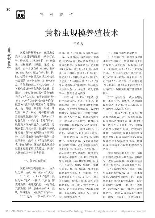 黄粉虫规模养殖技术