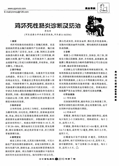 鸡坏死牲肠炎诊断及防治