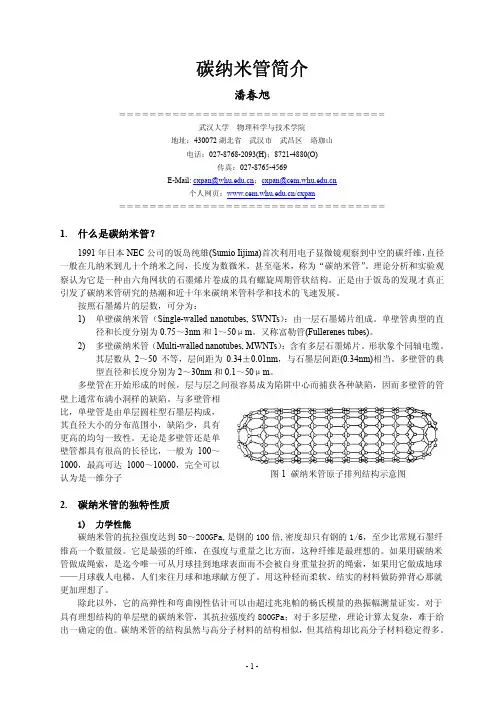 碳纳米管