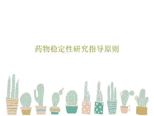 药物稳定性研究指导原则共30页文档