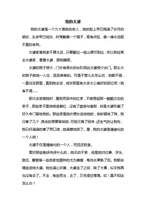 六年级作文：我的太婆作文600字