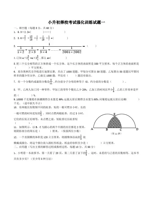 小升初择校考试强化训练试题一