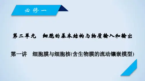 2019年高考生物人教版一轮复习课件：必修1 第2单元 第1讲细胞膜与细胞核(含生物膜的流动镶嵌模型)