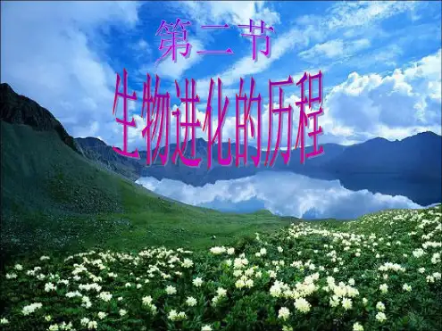 人教版初中八年级生物下册第三章第二节生物进化的历程课件PPT(3)