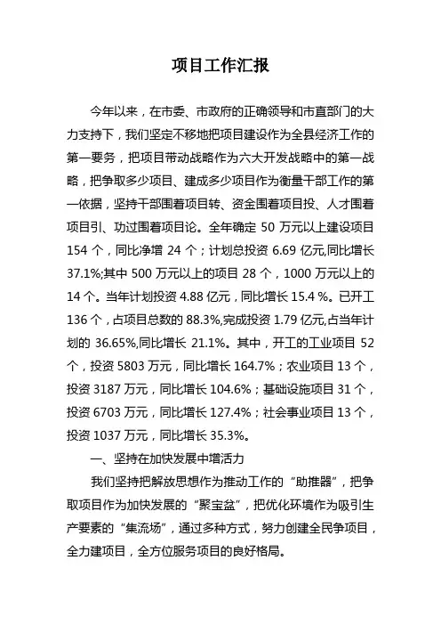 项目工作汇报