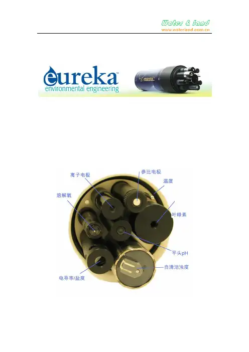溶解氧传感器(极谱式)