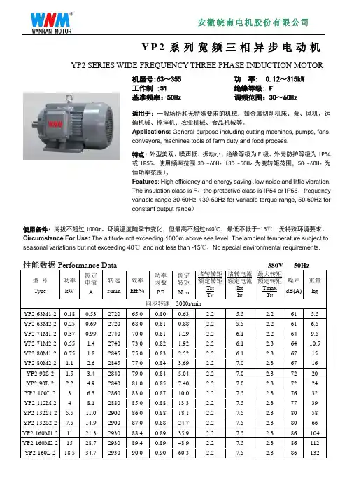 变频电机参数规格-YP2