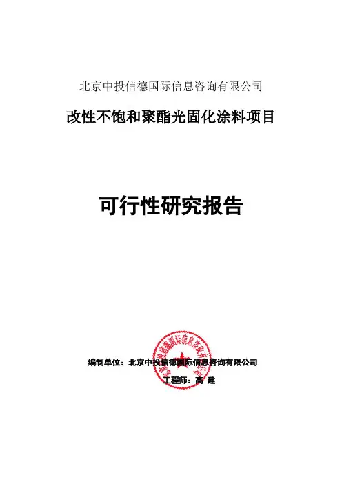 改性不饱和聚酯光固化涂料项目可行性研究报告编写格式说明(模板套用型word)