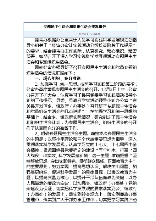 民主生活专题报告