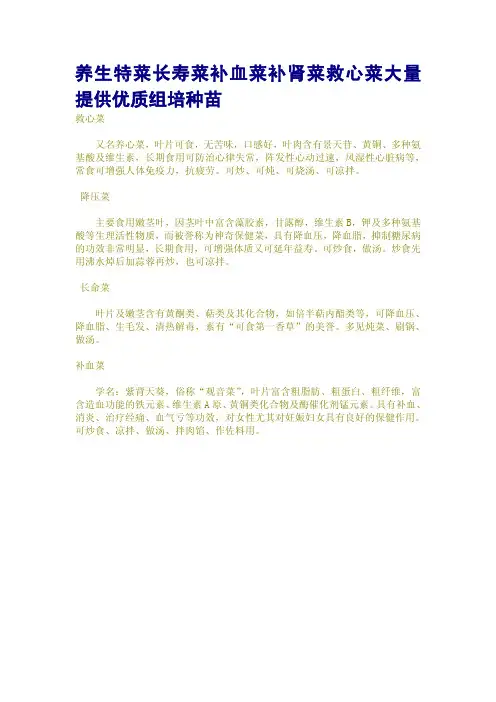 养生特菜长寿菜补血菜补肾菜救心菜大量提供优质组培种苗