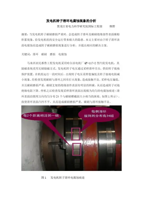 发电机转子滑环电腐蚀现象的分析
