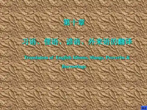 10.习语、外来语的翻译