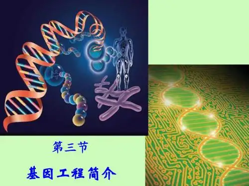 基因工程(GK)