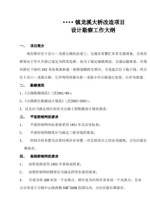 设计勘察工作大纲