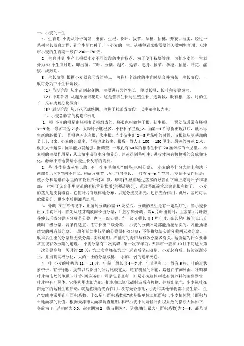 小麦生长发育的基础知识