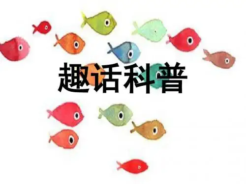 红蚂蚁