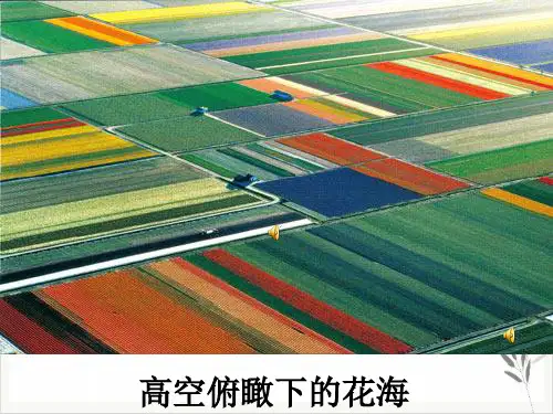 牧场之国优质课PPT课件(模板)