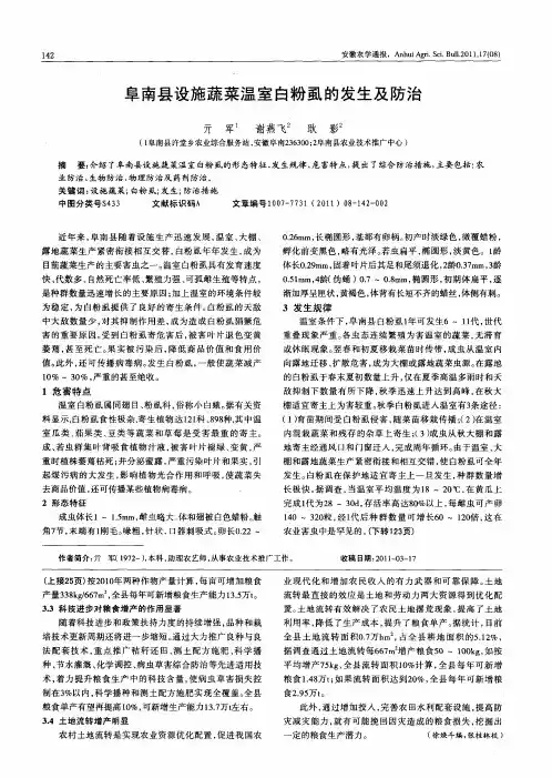 阜南县设施蔬菜温室白粉虱的发生及防治
