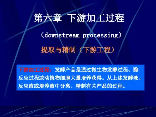 第六章 发酵的下游加工过程