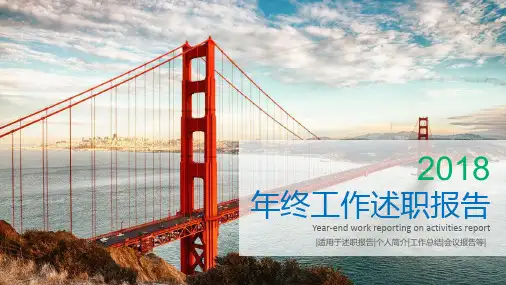 精美年终述职报告个人简介工作总结会议报告PPT素材模板