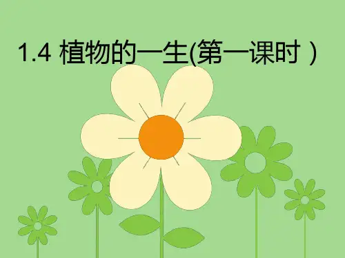 14植物的一生(第一课时