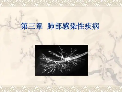 肺部感染性疾病总论 PPT课件
